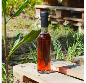 Bouteilles de vin Aphrodite 200ml