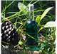 Botella Centauro 200ml 20Cl