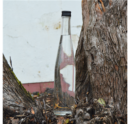 Bottle Jasmim 700ml