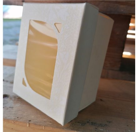 F/C -dp 100x70x60mm miele com janela transparente