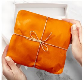 Salmon Tissue Paper 50x75cm