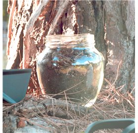 Frasco de Vidro Jarro 1,7 litros