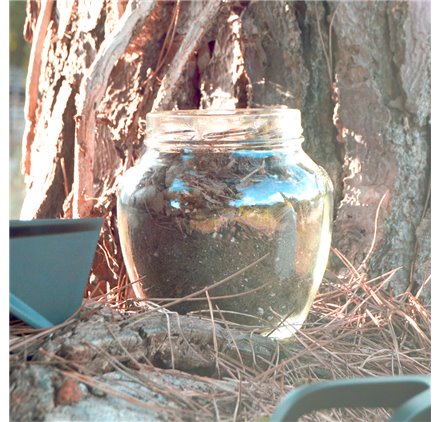 Tarros de cristal Jarro 1,7 litros