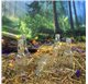 Fiole en verre Pegasus Reborn 40ml 4cl