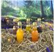 Fiole en verre Pegasus Reborn 40ml 4cl