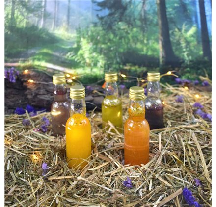 Pegasus 4 CL-butelka 40 ml odradza się