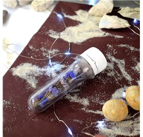 Tube Eprouvette PET 15ml 100x20