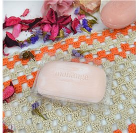 Caixa transparente retangular 60x20x90mm