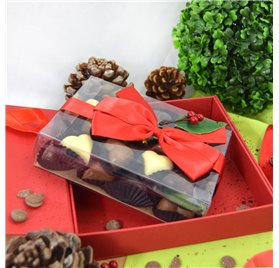 Transparente Rechteckige Box 115x40x155mm mit Griff