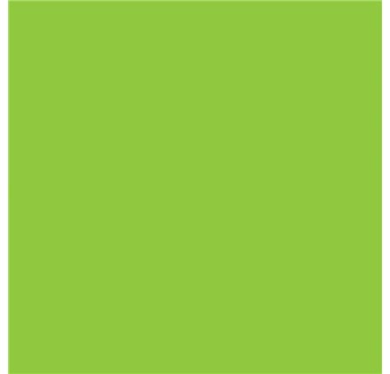 Papel de Embrulho 70cm Lime Zest