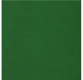 Papier pakowy 70cm Emerald Envy
