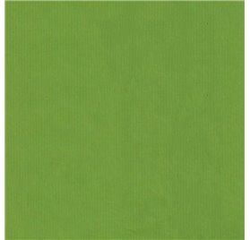 Papier do pakowania 70cm Verjurado Lime Lively