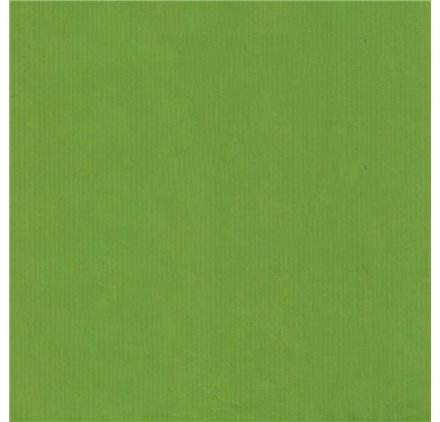 Papier do pakowania 70cm Verjurado Lime Lively