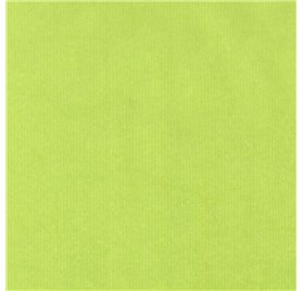 Papel de Embrulho 70cm Verjurado Spring Zest