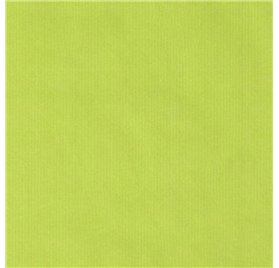 Papel de Embrulho 70cm Verjurado Spring Verdure