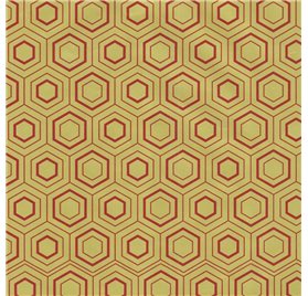 Papel de Embrulho 70cm Hexagon Hues