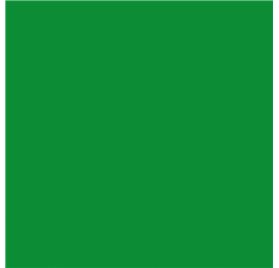Papel de Embrulho 70cm Emerald Plain