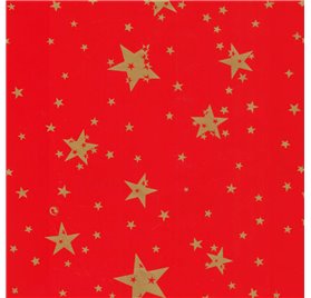 Papel de Embrulho 70cm Santa's Cheer Grid