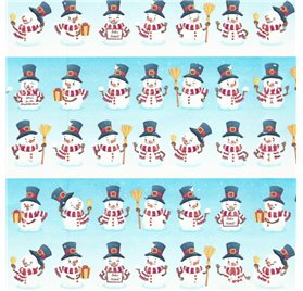 Papel de Embrulho 70cm Frosty Joy Parade