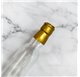 Transparent Retratillate Security seal 