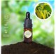 Aceite Esencial de Acacia