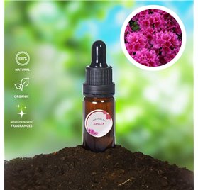 Olio essenziale di azalea