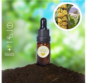 Huile Essentielle de Banane 714