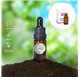 Huile Essentielle d'Arbre à Brandy Stelle