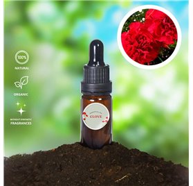 Aceite Esencial de Clavo