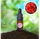 Aceite Esencial de Geranio
