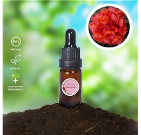 Essential Oil of Geranium