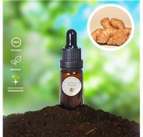 Aceite Esencial de Jengibre