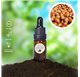 Essential Oil of Hazelnut