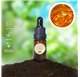 Essential Oil of Honey 1552