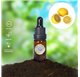 Essential Oil of Italian Lemon