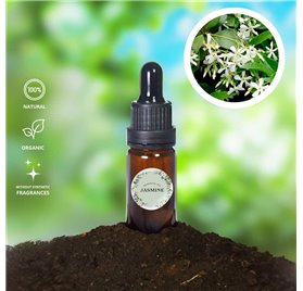 Essential Oil of Jasmine