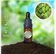 Essential Oil of Lemon Balm