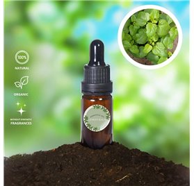 Olio essenziale di Cidreira