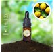 Olio essenziale di Idra di limone