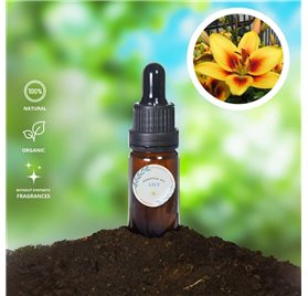 Olio essenziale di giglio