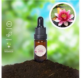 Óleo Essencial Flor Lotus
