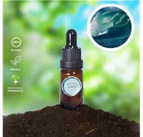 Óleo Essencial Marinho 5559