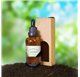 Essential Oil of Marjoram