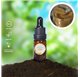 Essential Oil of Milk Caramel 47150