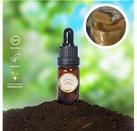 Essential Oil of Milk Caramel 47150