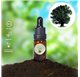 Aceite Esencial de Roble