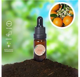 Óleo Essencial Flor de Laranjeira