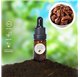 Aceite Esencial de Praliné