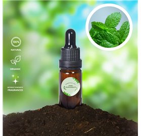 Huile Essentielle de Menthe Poivrée Pure
