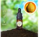 Essential Oil of Quince